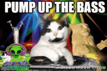 Cat Disco Cat Dancing GIF - Cat Disco Cat Dancing Cat Dj GIFs