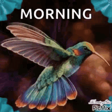 Good Morning Humming Bird GIF - Good Morning Humming Bird Sparkles GIFs