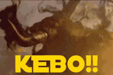 Hoi Kebo! GIF - Kebo Kerbau Banteng GIFs