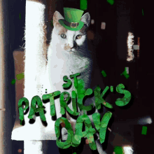 St Patricks Day Cat GIF - St Patricks Day Cat GIFs