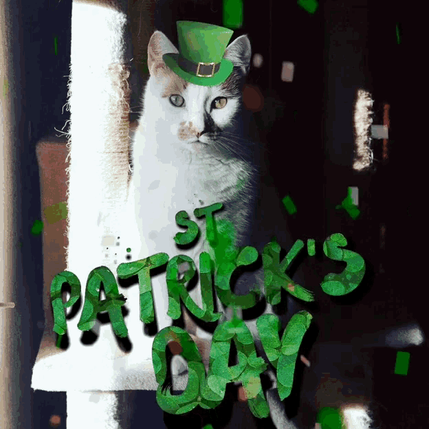 St Patricks Day Cat GIF St Patricks Day Cat Discover & Share GIFs