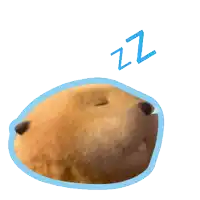 a close up of a beaver sleeping with the word zzz below it