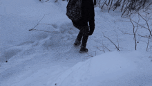 a person with a backpack is walking through a snowy forest