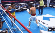 井上尚弥 Naoya Inoue ボクシング　ボクサー GIF - Naoya Inoue Boxer Punch GIFs