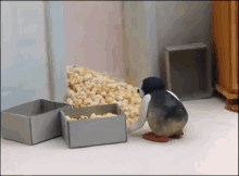 Pingu Popcorn Pinga Popcorn GIF - Pingu Popcorn Pinga Popcorn Pingu Cooking GIFs