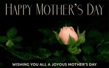happy mothers day happy moms day mothers day flower bloom