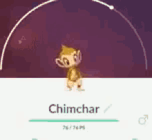 chimchar pokemongo