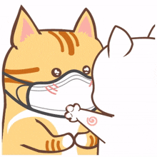 life cat
