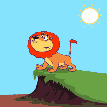 animation cartoon animal king lion