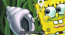 Spongebob Conch GIF