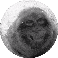 a ball with a face on it and the word rocks on the bottom