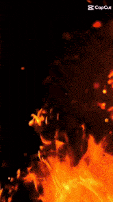 a close up of a fire with the words capcut on the bottom
