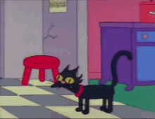 Angry Cat GIF - Angry Cat Kitten GIFs