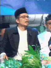 a man wearing glasses and a black hat is sitting in front of a green plant
