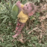 a baby monkey wearing a yellow shirt and plaid pants is standing in the grass .