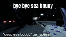 a poster that says " bye bye sea bnuuy " on it