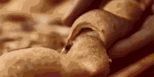 a close up of a person holding a bread roll in their hands .