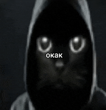 a black cat wearing a hooded jacket with the words " okak " written above it