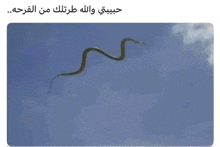 a snake is flying in the sky with arabic writing on it .