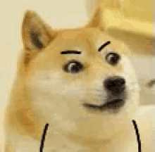 Lol Emoji GIF - Lol Emoji Doge GIFs
