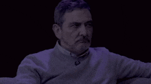 a man with a beard is wearing a purple sweater with a button on the front