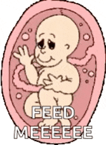 a cartoon of a baby in the womb with the words feed meeeee .