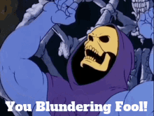 Skeletor You Blundering Fool GIF - Skeletor You Blundering Fool You Fool GIFs