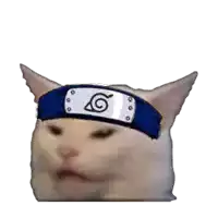 a cat wearing a headband with a naruto logo on it