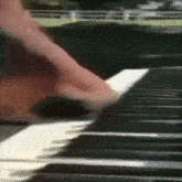 Horse Horse Playing Piano GIF