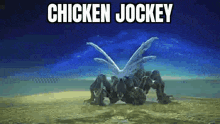 a chicken jockey is crawling on the ground on a beach .