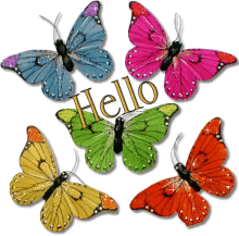 butterfly hello sparkling hi greeting