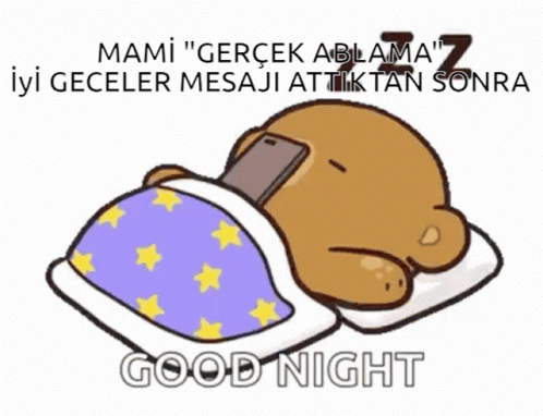 iyi geceler metin mesajları tumblr
