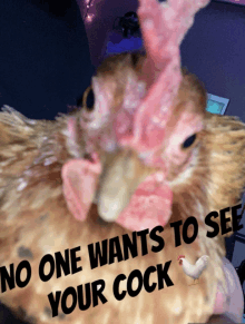 Cock No One Wants To See Your Cock GIF - Cock No One Wants To See Your Cock No One GIFs