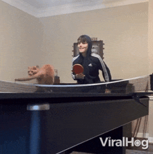 Pawing A Ping Pong Ball Viralhog GIF