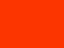logo reveal motion flat orange colors