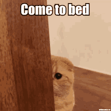 Come To Bed GIF - Come To Bed GIFs