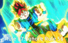 rule57 goku