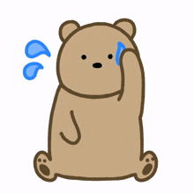 bear brown cute lovely sweat
