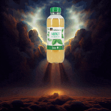 Ancestor Juice Divine Juice GIF - Ancestor Juice Divine Juice Gehen Wir Coop GIFs
