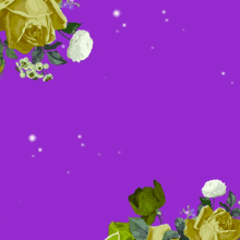 a purple background with yellow roses and green leaves with arabic writing on it