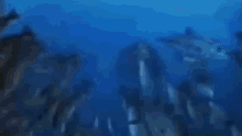 Monke Swimming GIF - Monke Swimming Ape GIFs