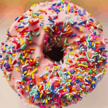 Donuts GIF - Donuts GIFs