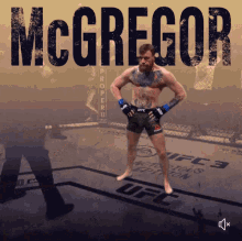 Funny Mcgregor GIF - Funny Mcgregor Ufc GIFs