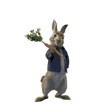 rabbit runaway