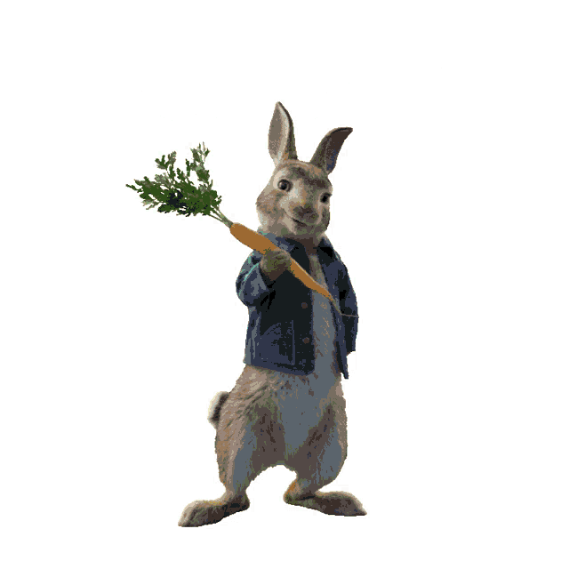 In 'Peter Rabbit,' The Bunny's A Bro