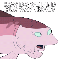 How Do We Find Our Way Home Amy Sticker