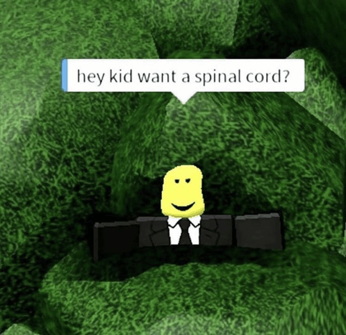 Spinal Cord Roblox GIF - Spinal cord Roblox Hey kid want a spinal cord -  Discover & Share GIFs