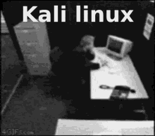 Kali Linux Computer GIF - Kali Linux Computer Office GIFs