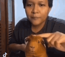 a man is holding a guinea pig in his hands while looking at it .