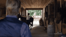 Wcth Hearties Nathan Henley Grant Brush Groom Sergeant Seasoneleven GIF - Wcth Hearties Nathan Henley Grant Brush Groom Sergeant Seasoneleven Acts Of Service In Stable GIFs